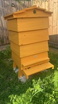 Hive